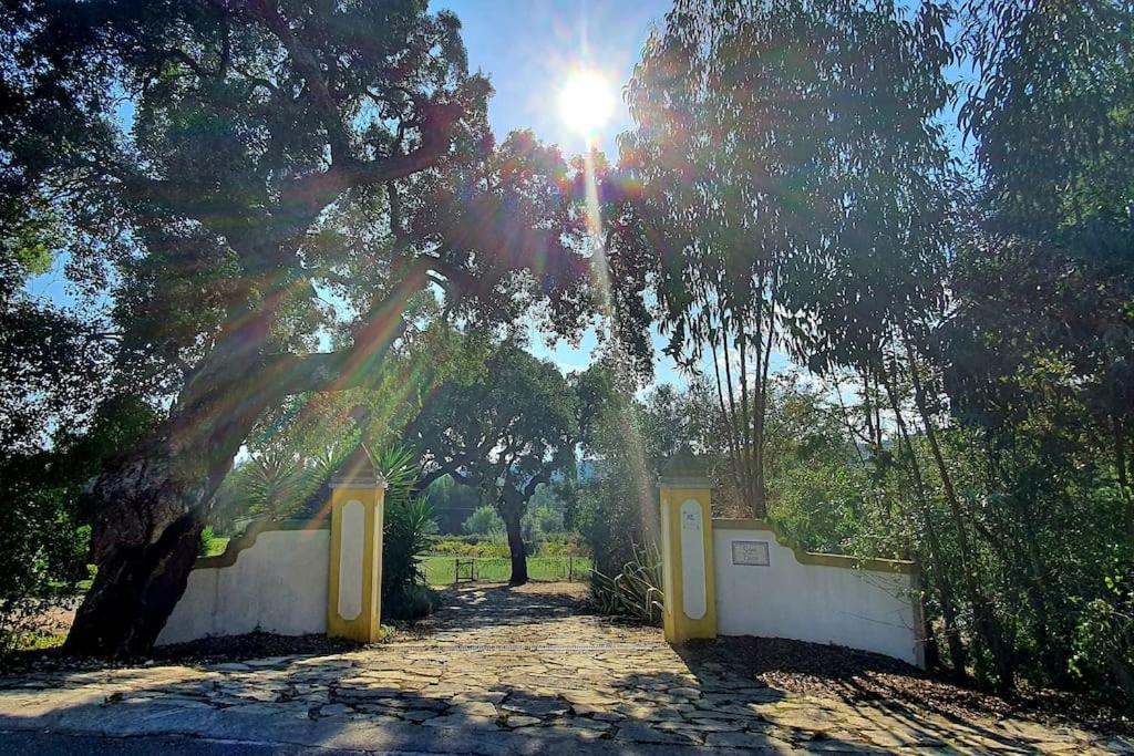 Quinta Flores Ferreira do Zezere Bagian luar foto
